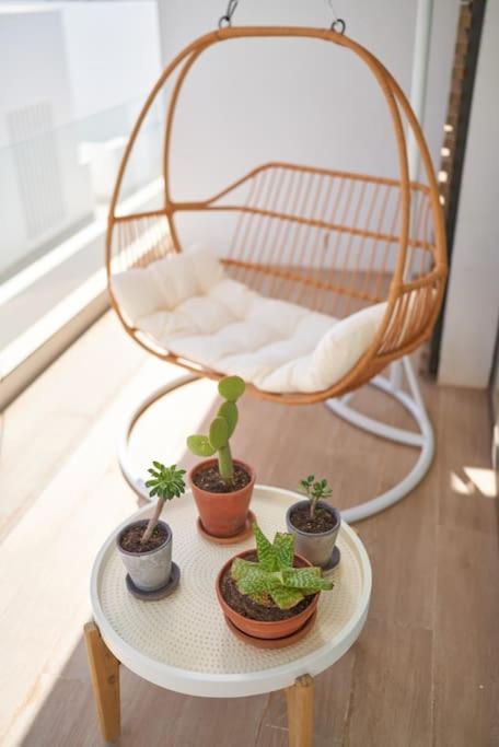 Apartment Aguarosa San Jose (Almeria)